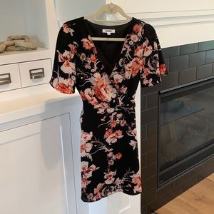 BB Dakota Dress